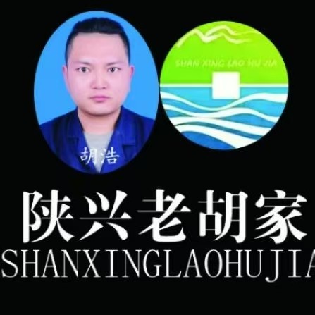 陕兴老胡家logo